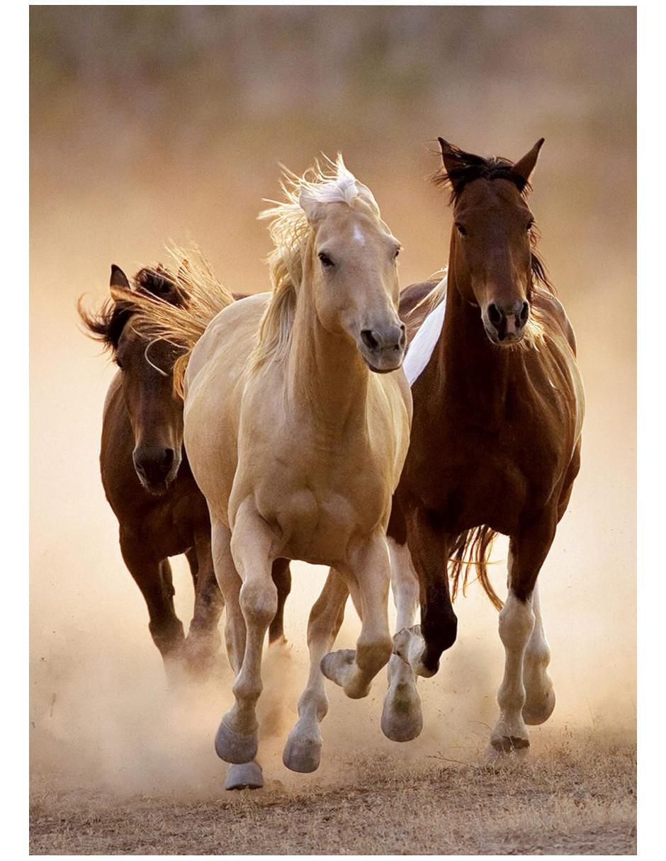 Rompecabezas Caballo al Trote 1000 piezas