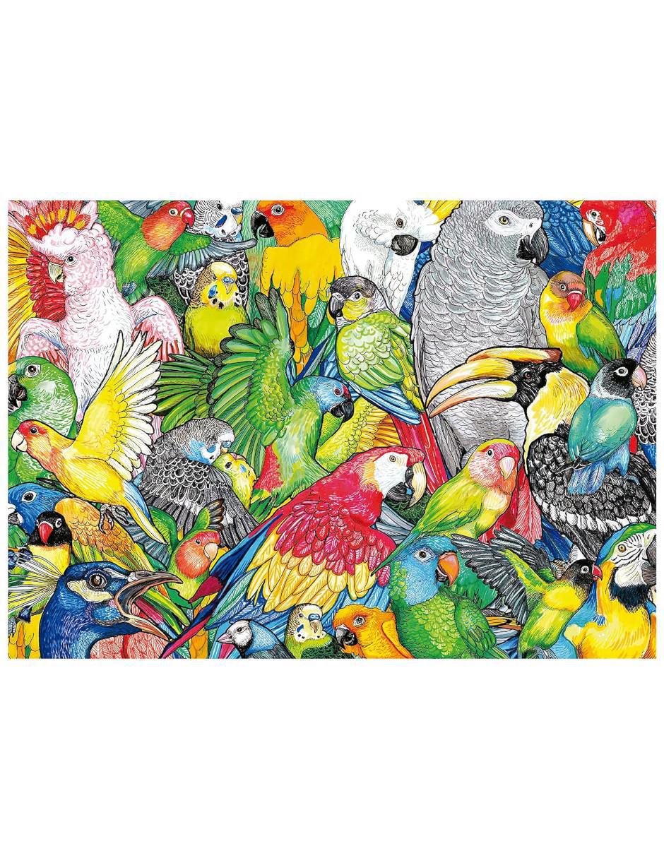 Rompecabezas Loros Tropicales 500 piezas Rompecabezas Loros Tropicales 500 piezas