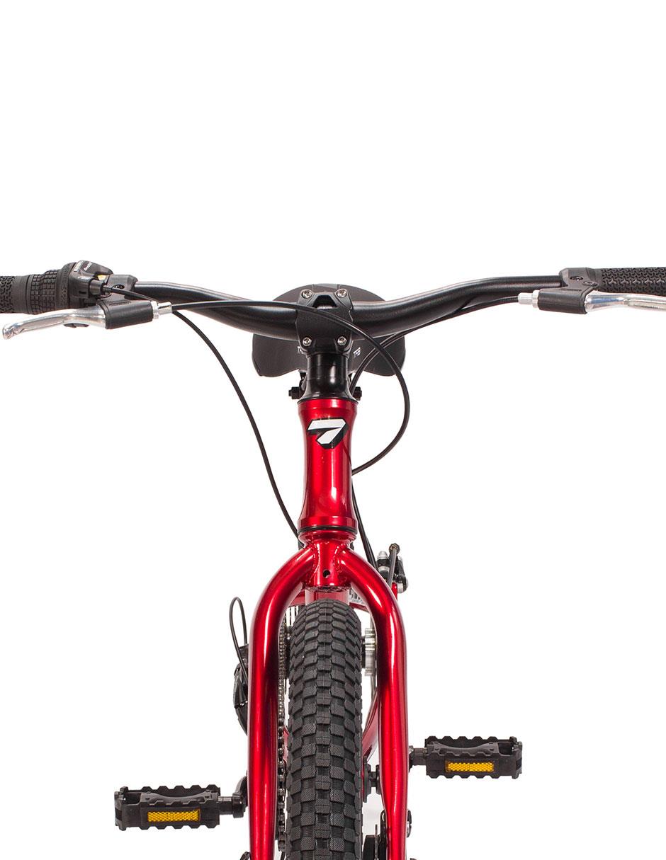 Bicicleta infantil rodada 20 unisex 14