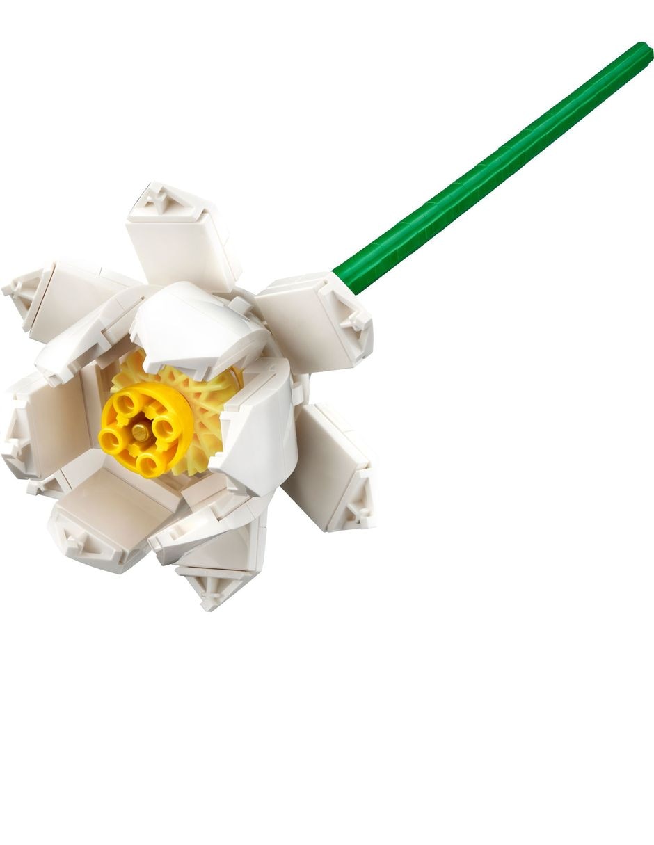 Flores de Loto 40647 Botanicals 2