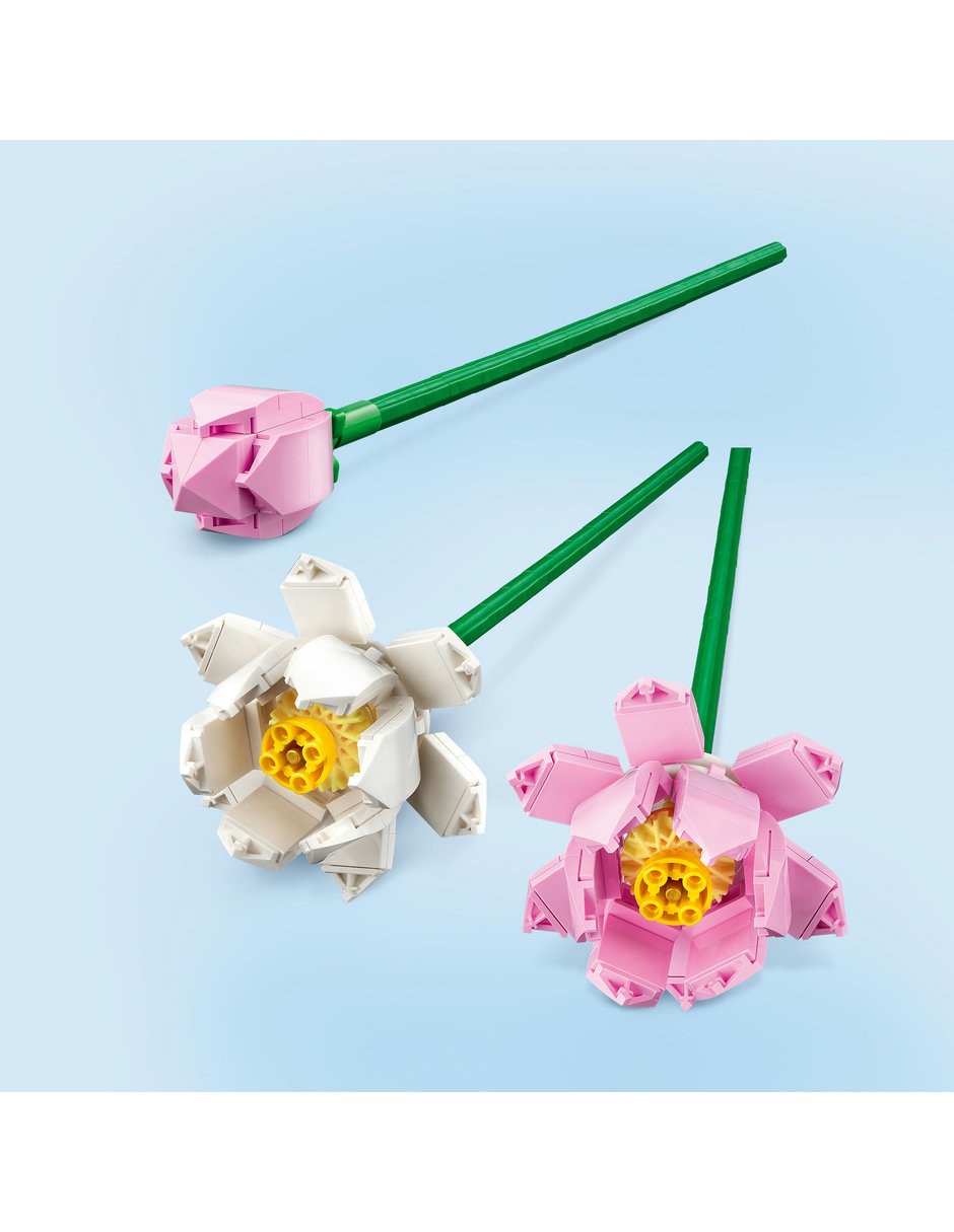 Flores de Loto 40647 Botanicals 6