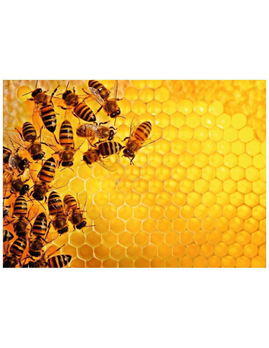 Rompecabezas Challenge: Abejas 1000 piezas Rompecabezas Challenge: Abejas 1000 piezas
