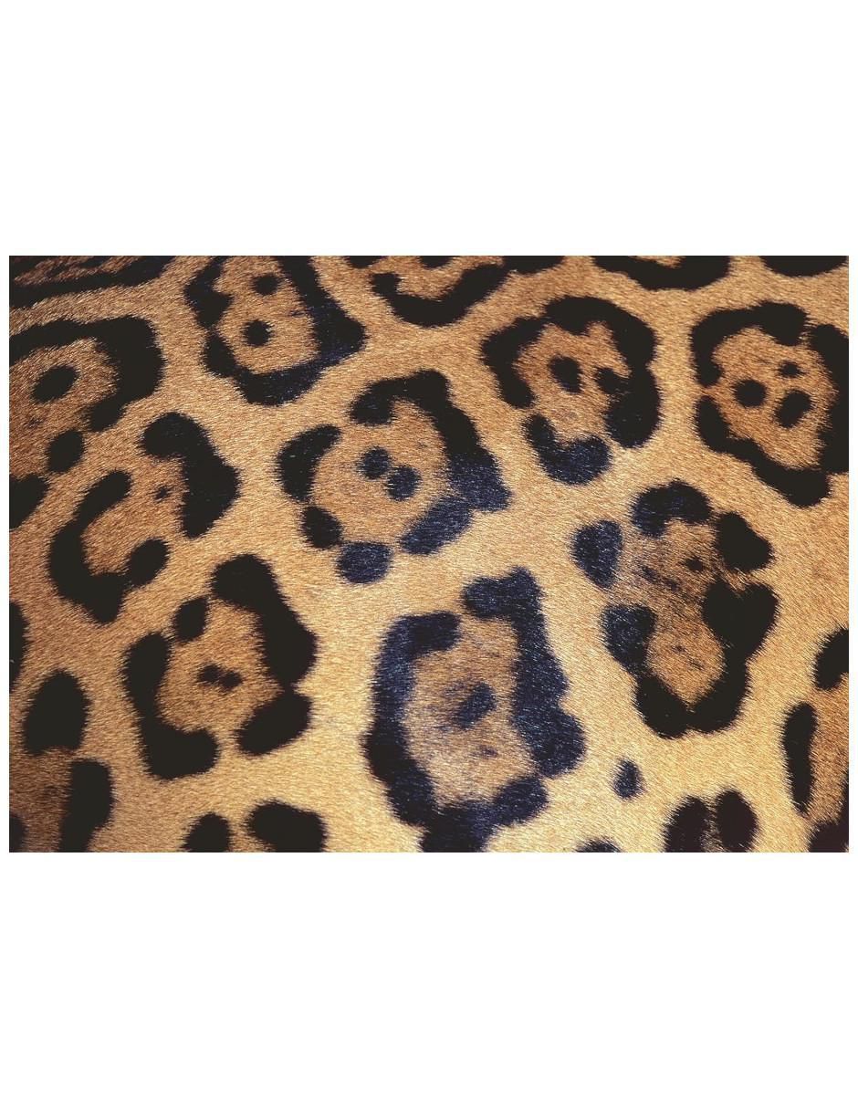 Rompecabezas Challenge: Manchas de Jaguar 1000 piezas Rompecabezas Challenge: Manchas de Jaguar 1000 piezas
