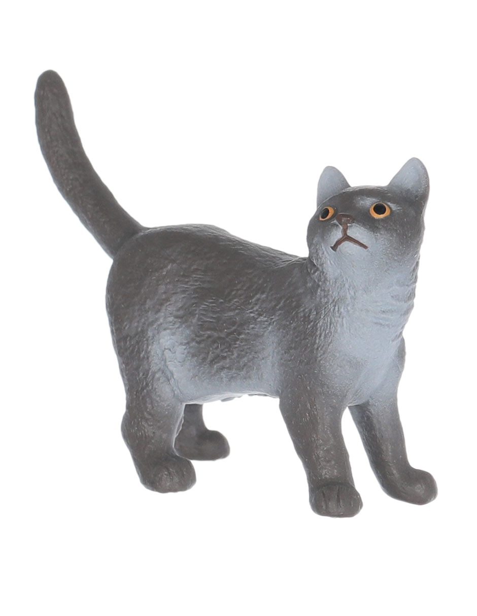 Figura de gato británico de pelo corto Figura de gato británico de pelo corto
