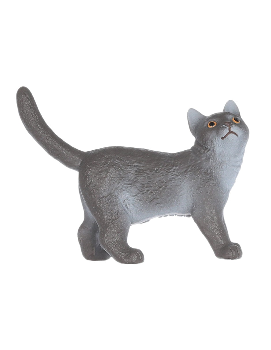 Figura de gato británico de pelo corto 2