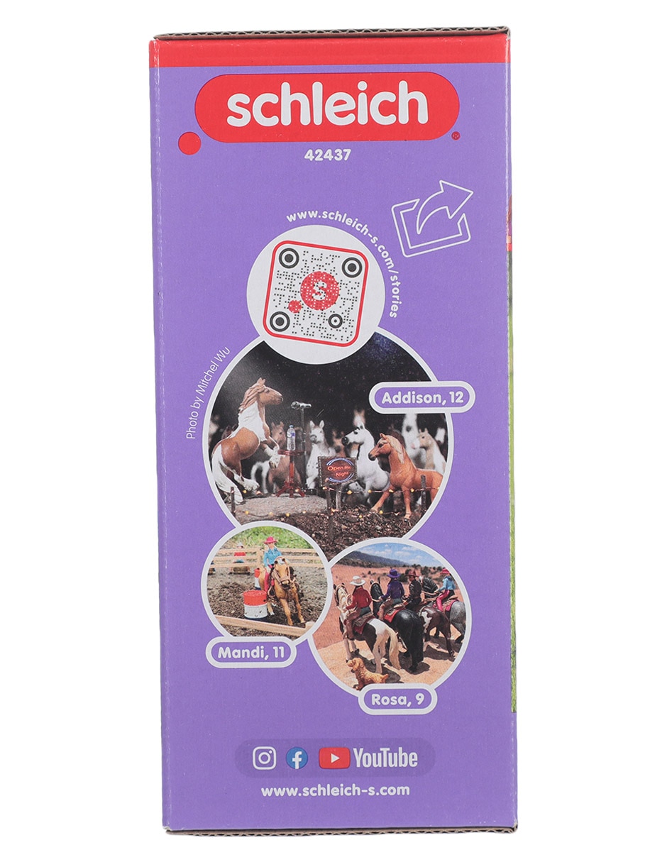 Box Para Caballos Con Club De Caballos Tori & Princess 3