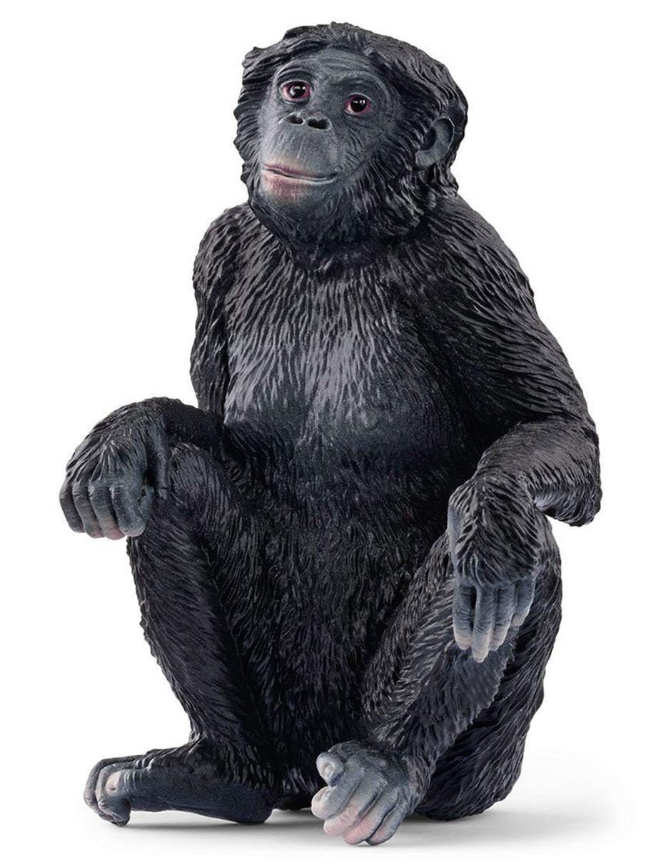 Figura de mono