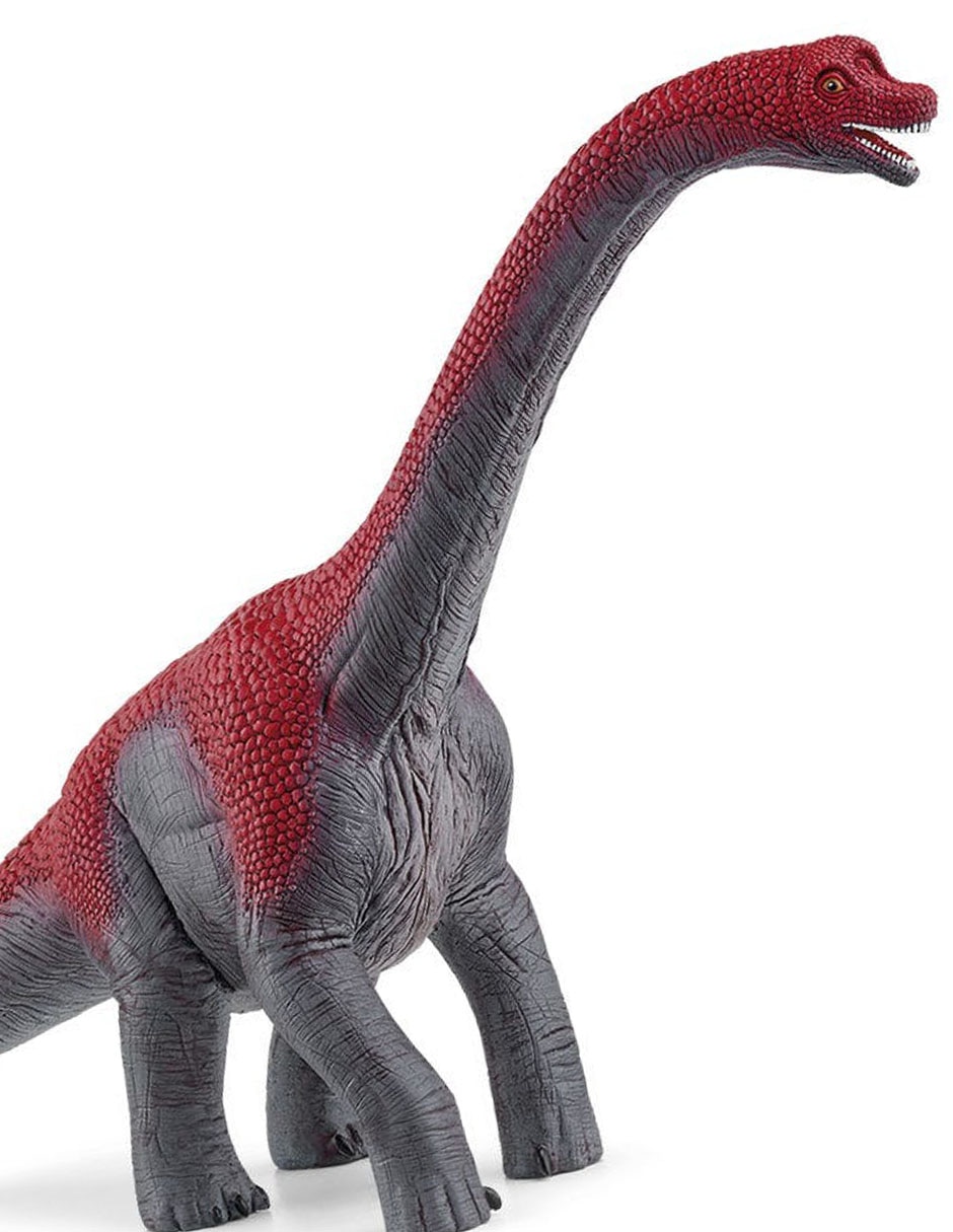 Figura de braquiosaurio 2