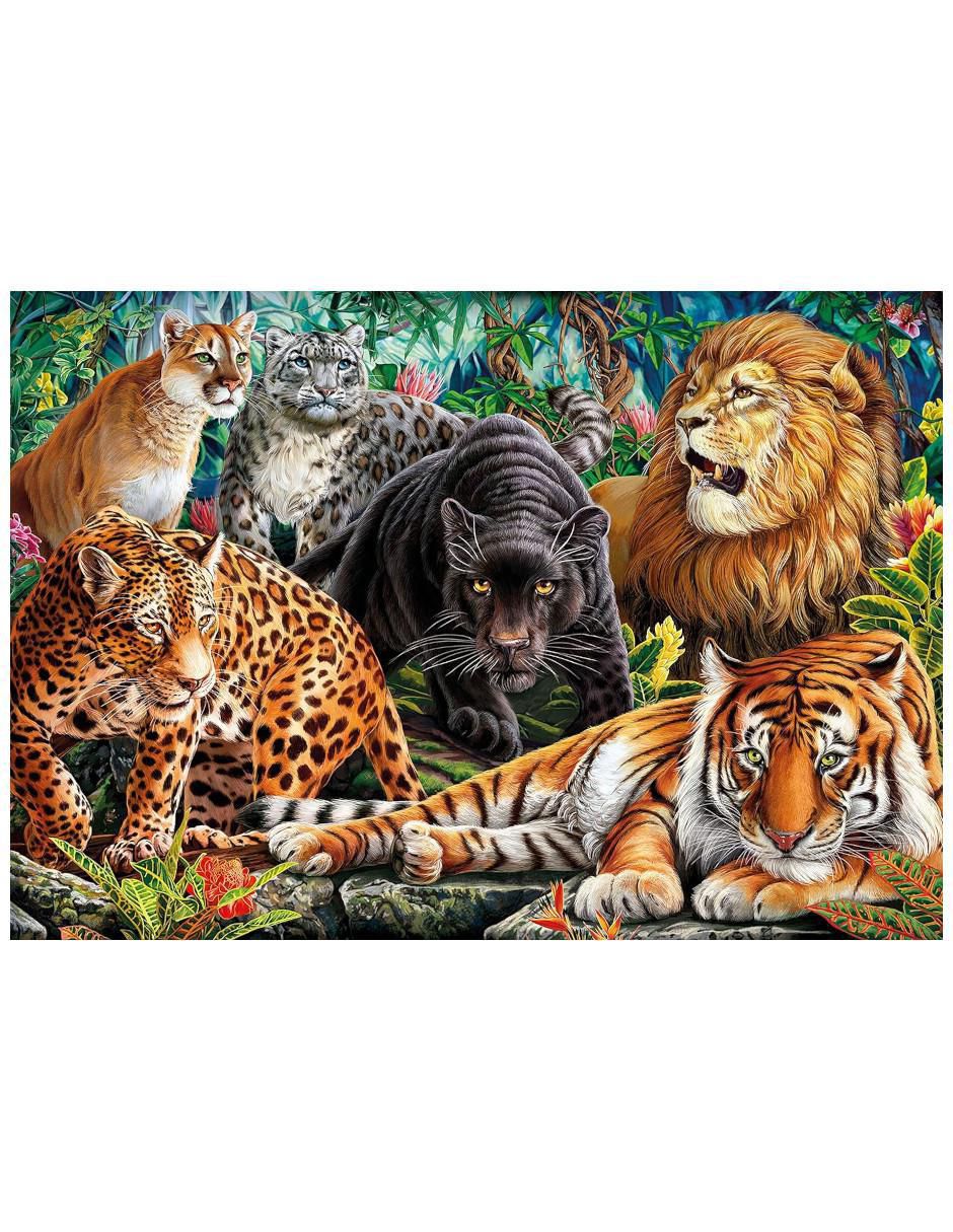 Rompecabezas Grandes felinos 500 piezas Rompecabezas Grandes felinos 500 piezas