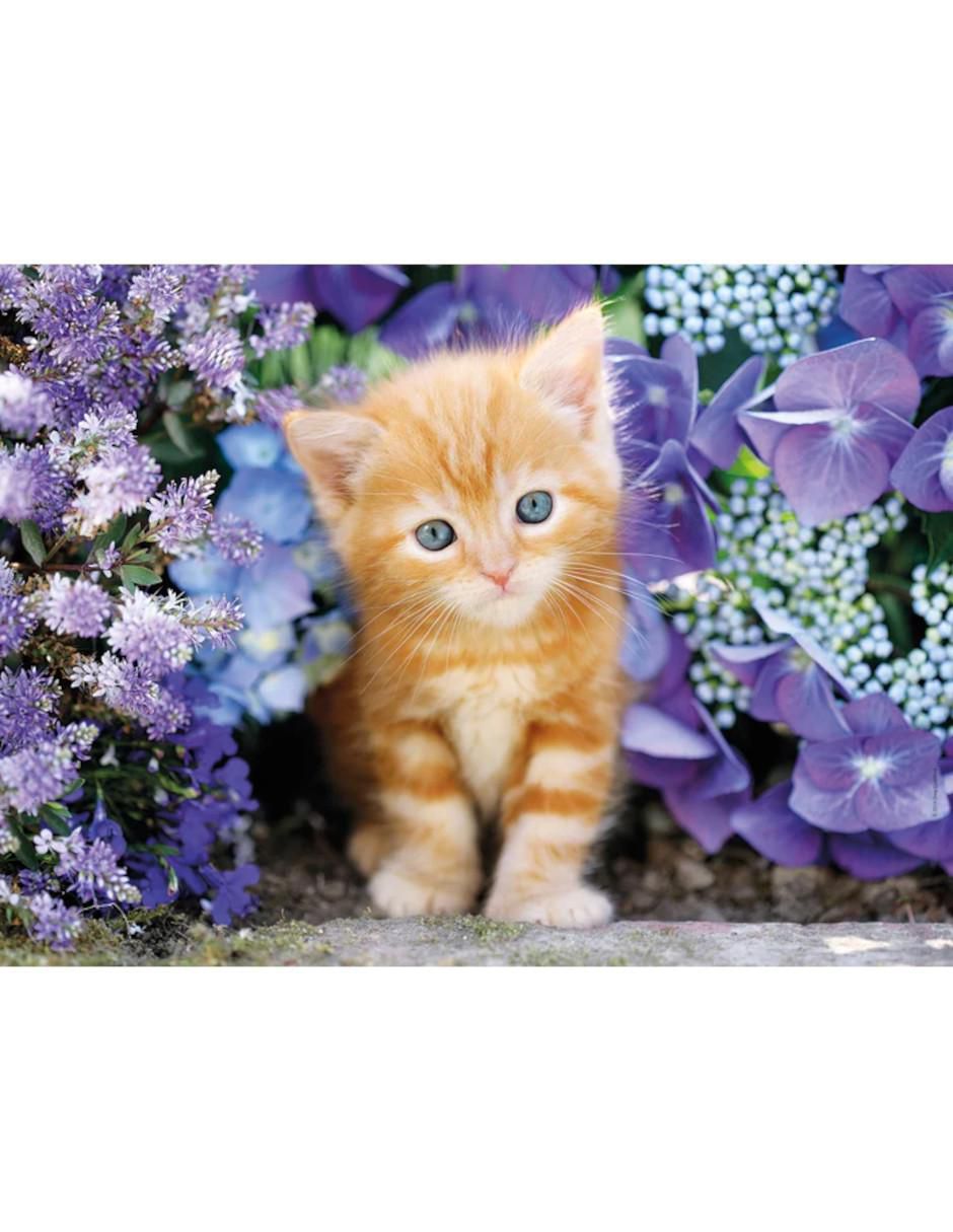 Rompecabezas Gatito 500 piezas 2
