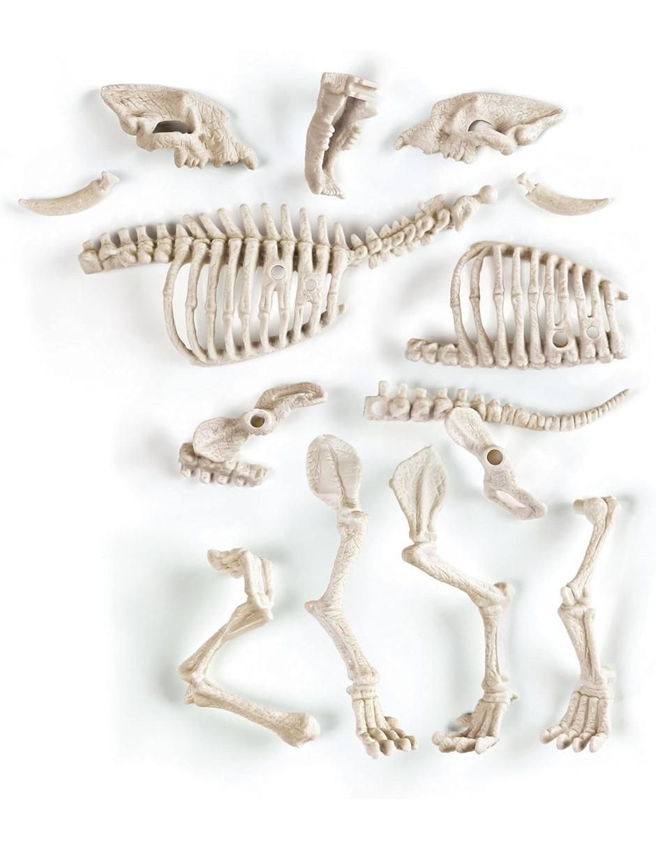 Arqueojugando Smilodon Fluorescente 3