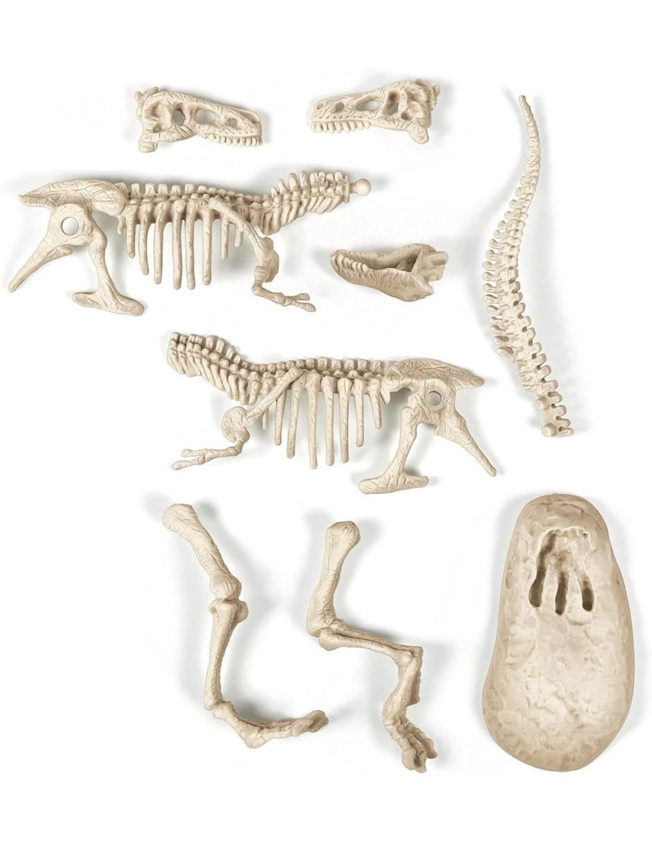 Arqueojugando T-Rex Fluorescente 3