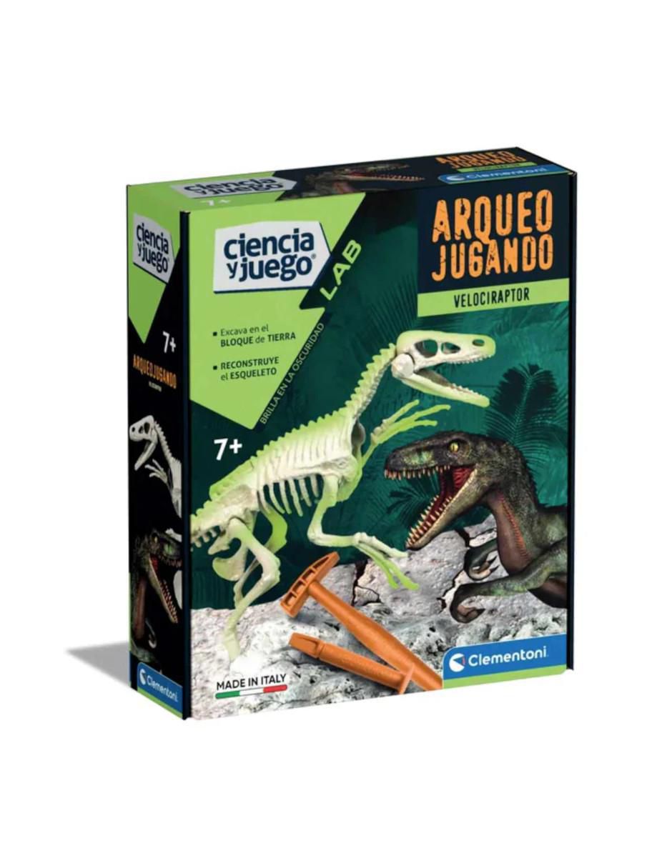Arqueojugando Velociraptor Fosforescente Arqueojugando Velociraptor Fosforescente