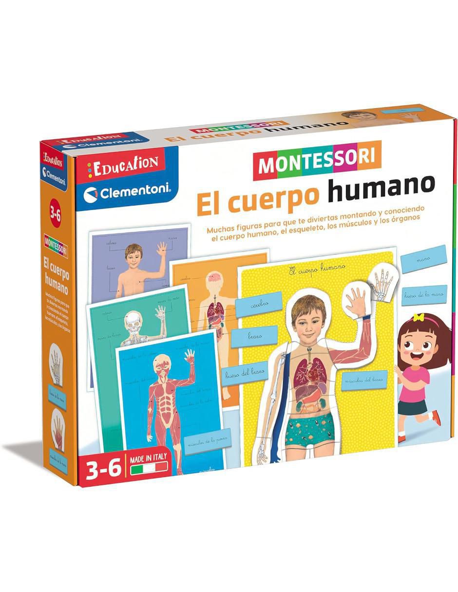El cuerpo humano Montessori El cuerpo humano Montessori