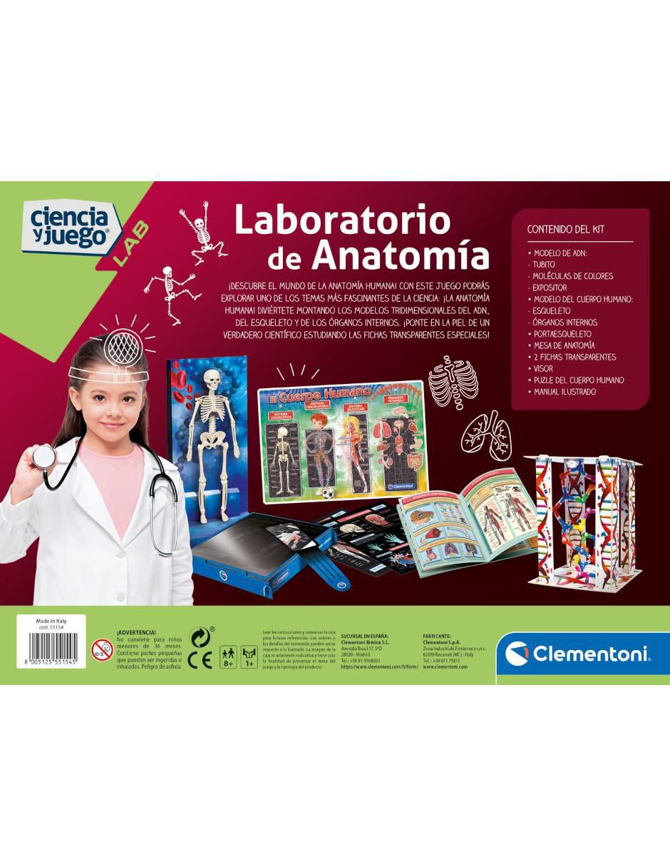 Laboratorio De Anatomía 3