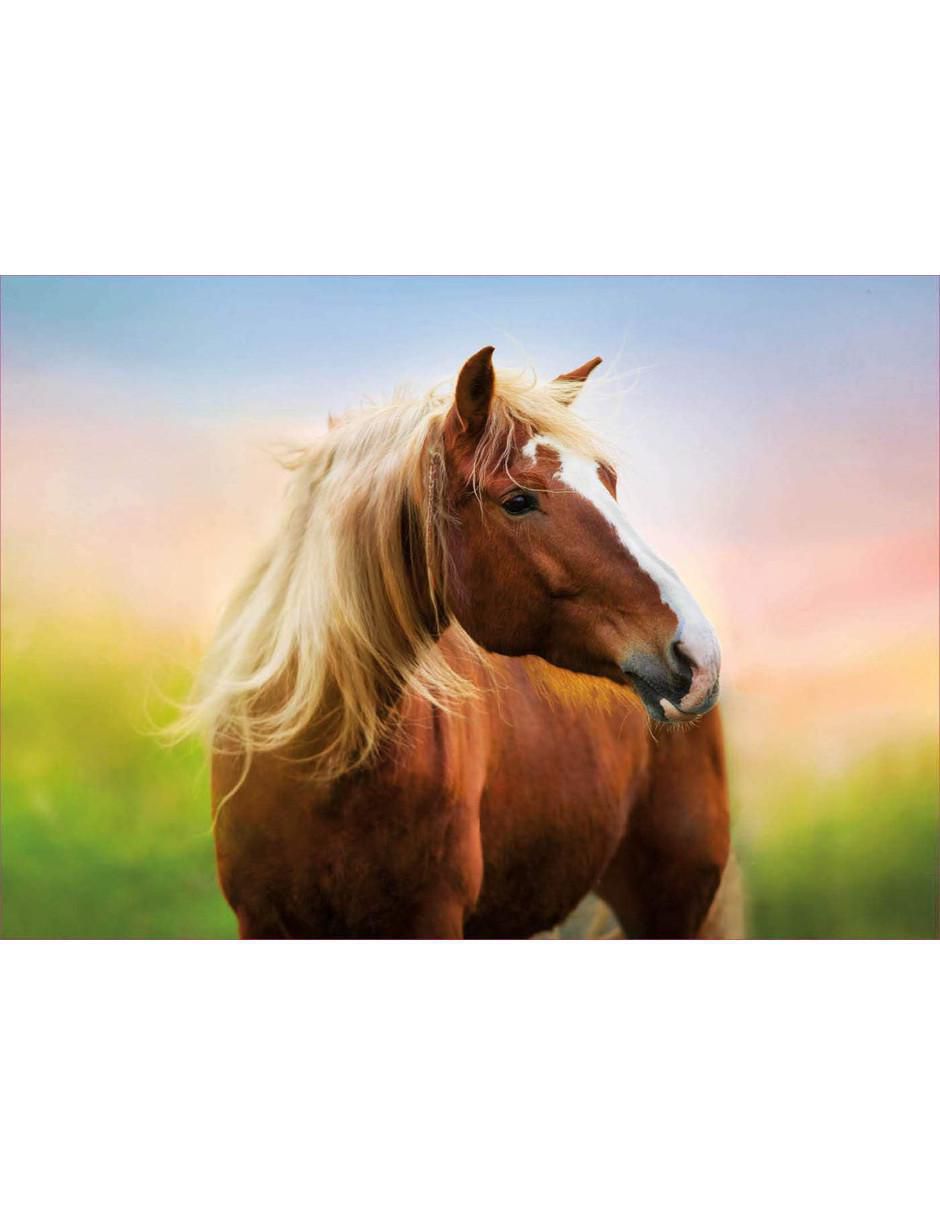 Rompecabezas Caballos 500 piezas 2
