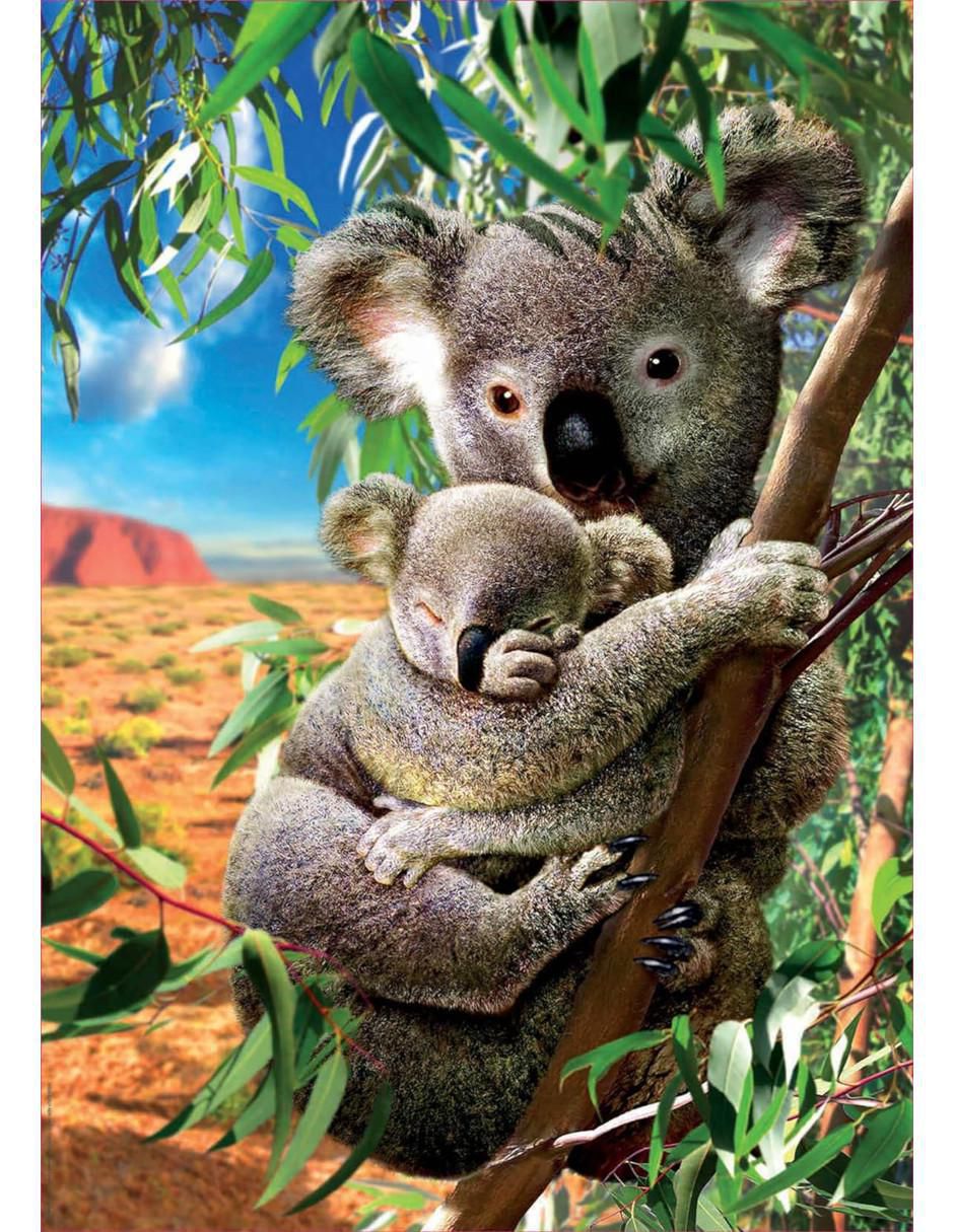 Rompecabezas Koalas en el Arbol 500 piezas 2