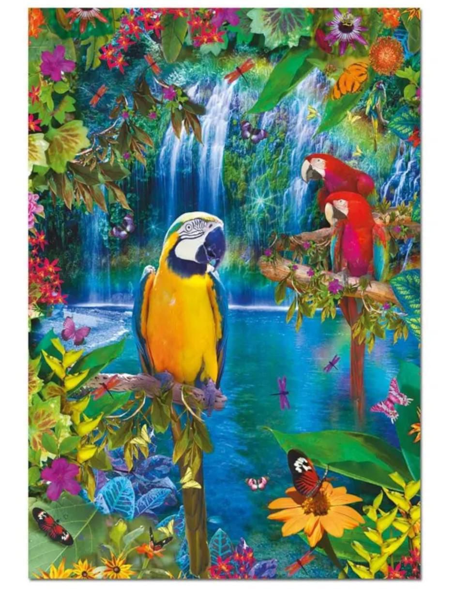 Rompecabezas Loros Tropicales 500 piezas 2