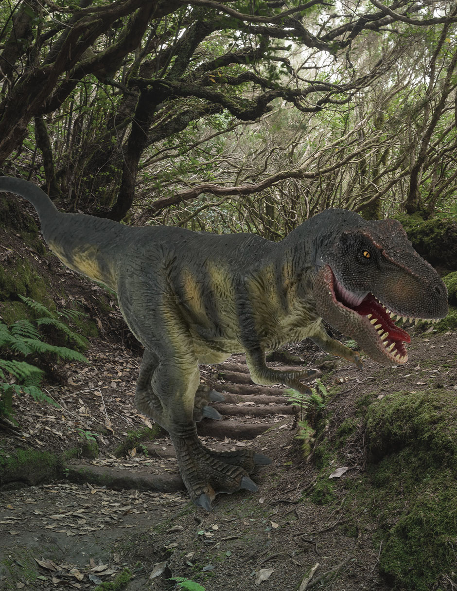 Figura de acción Rex 6
