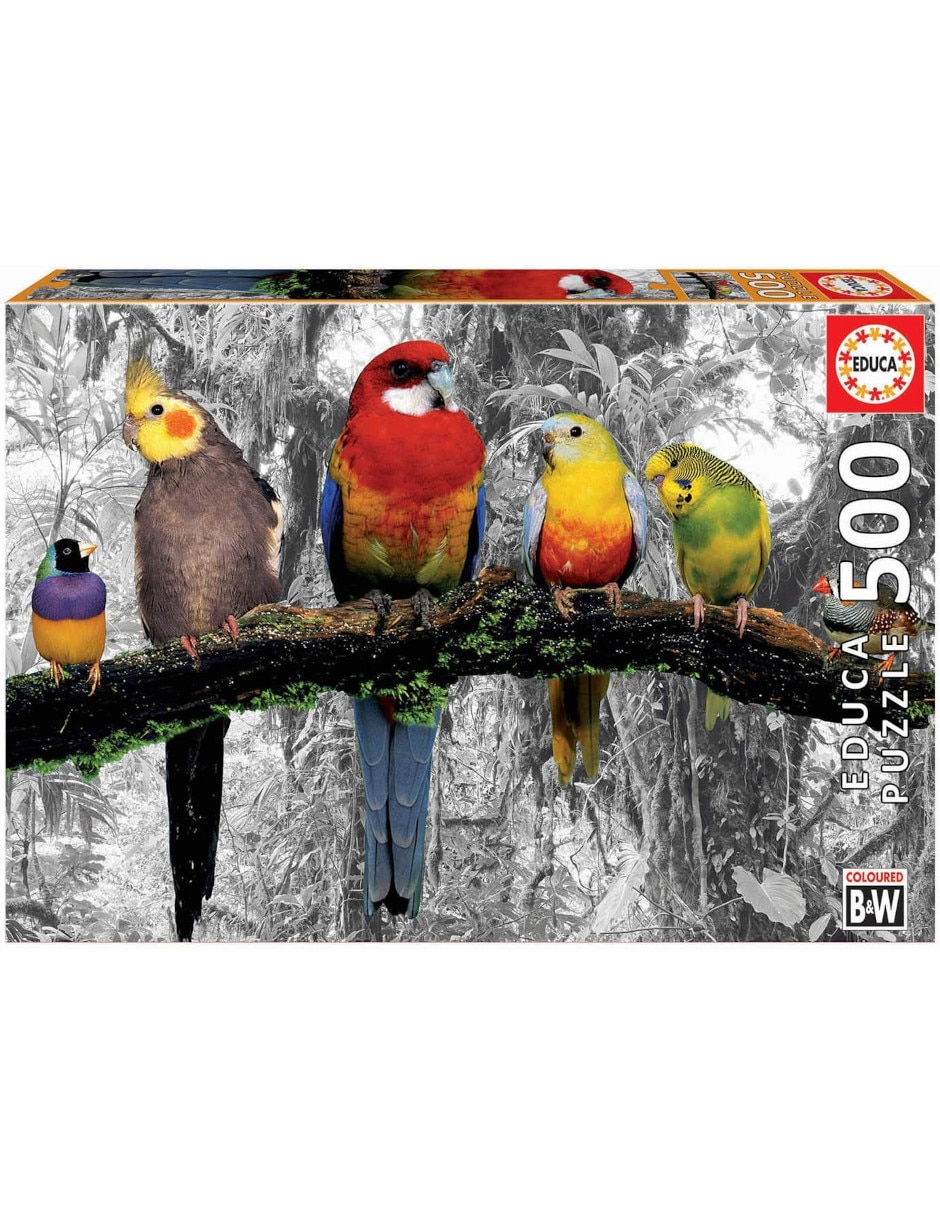Rompecabezas Pájaros en la Jungla 500 piezas Rompecabezas Pájaros en la Jungla 500 piezas
