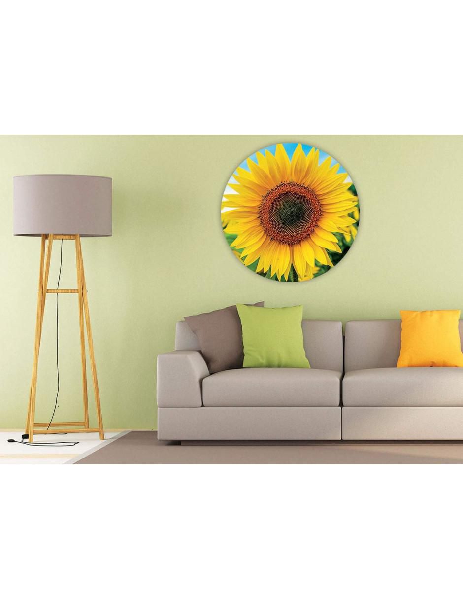 Rompecabezas Girasol 800 piezas 2