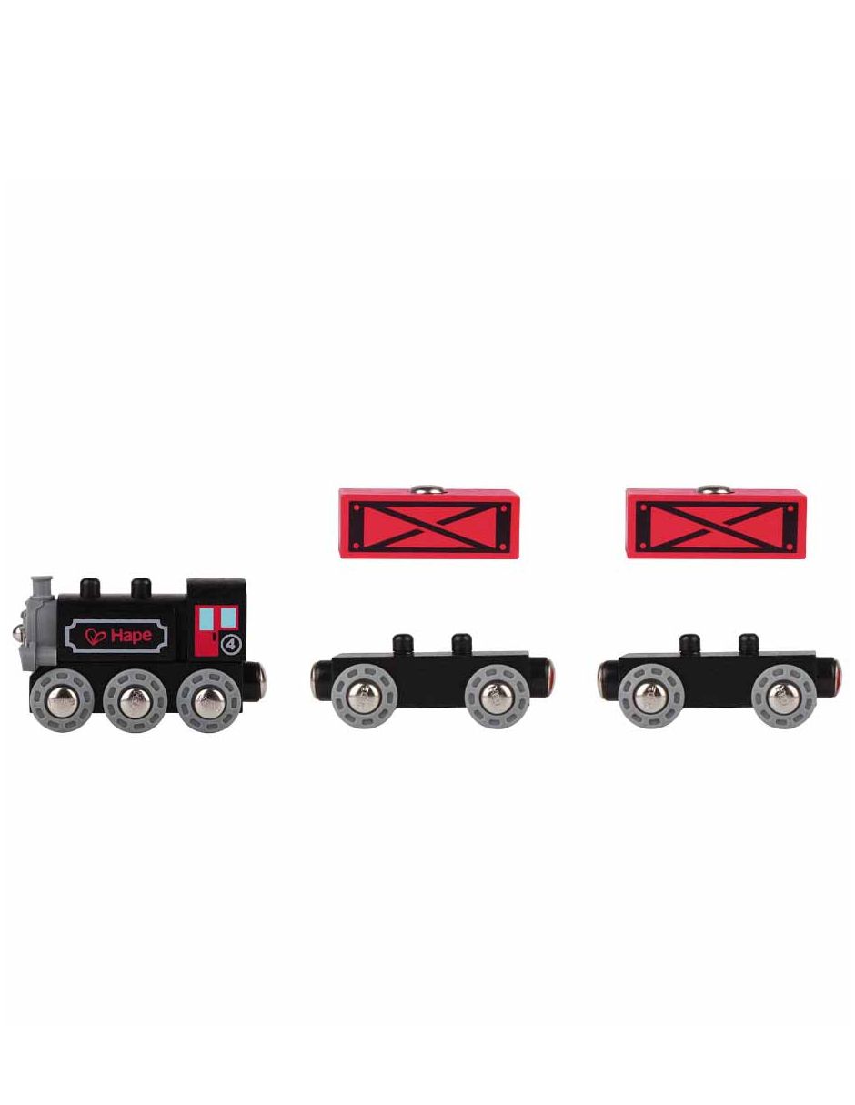 Tren didáctico railway