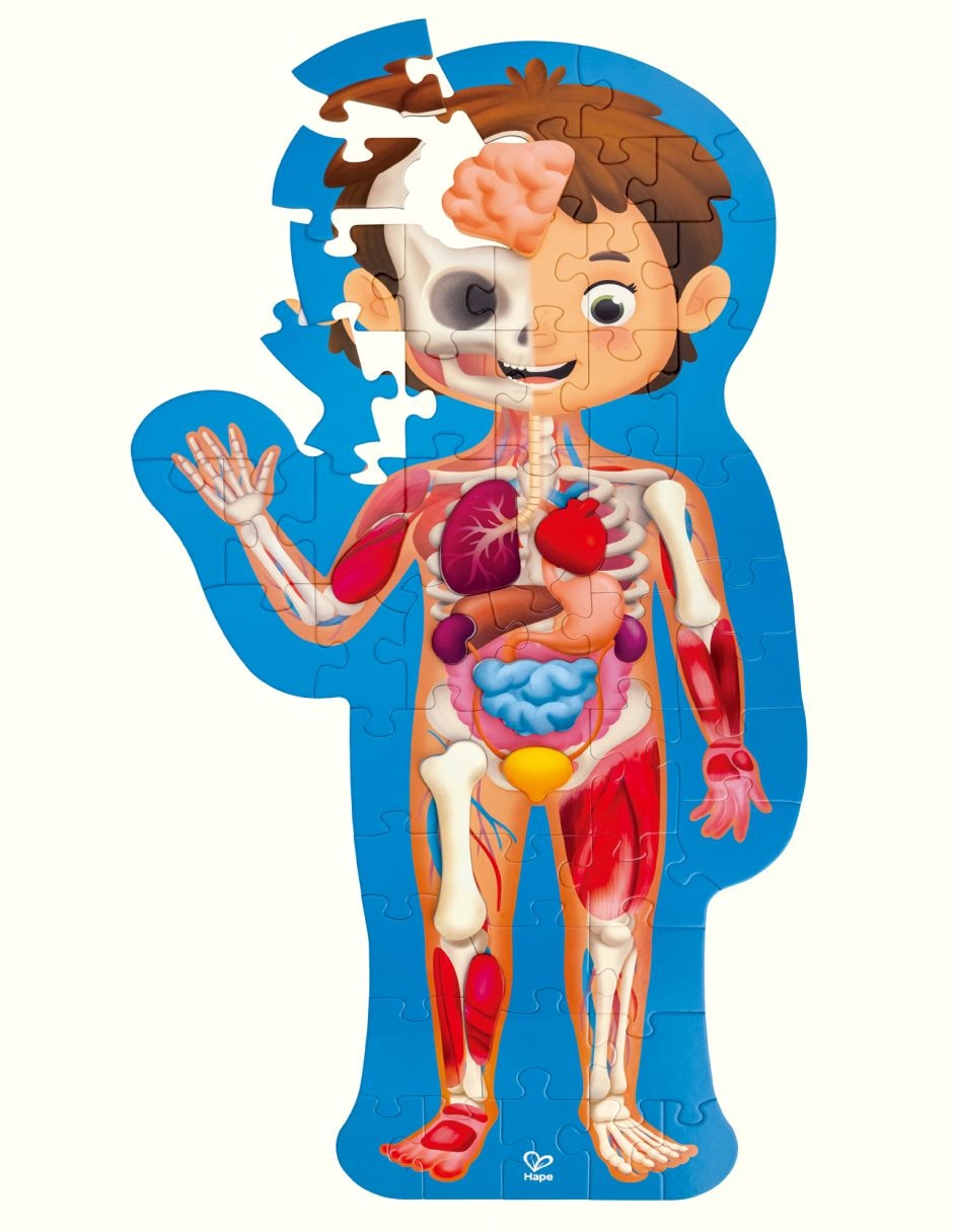 Rompecabezas cuerpo humano 61 piezas 3