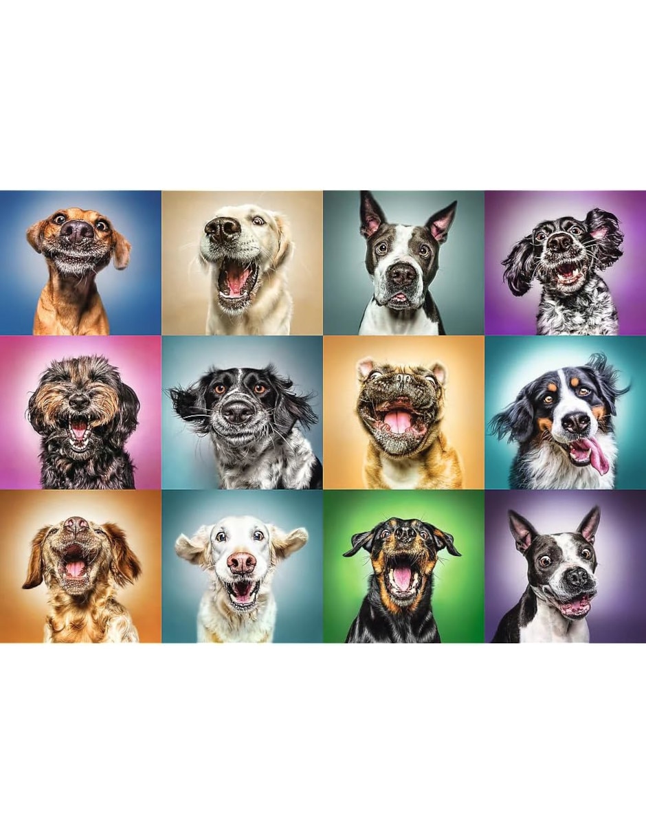 Rompecabezas Perros y más perros 1000 piezas 2