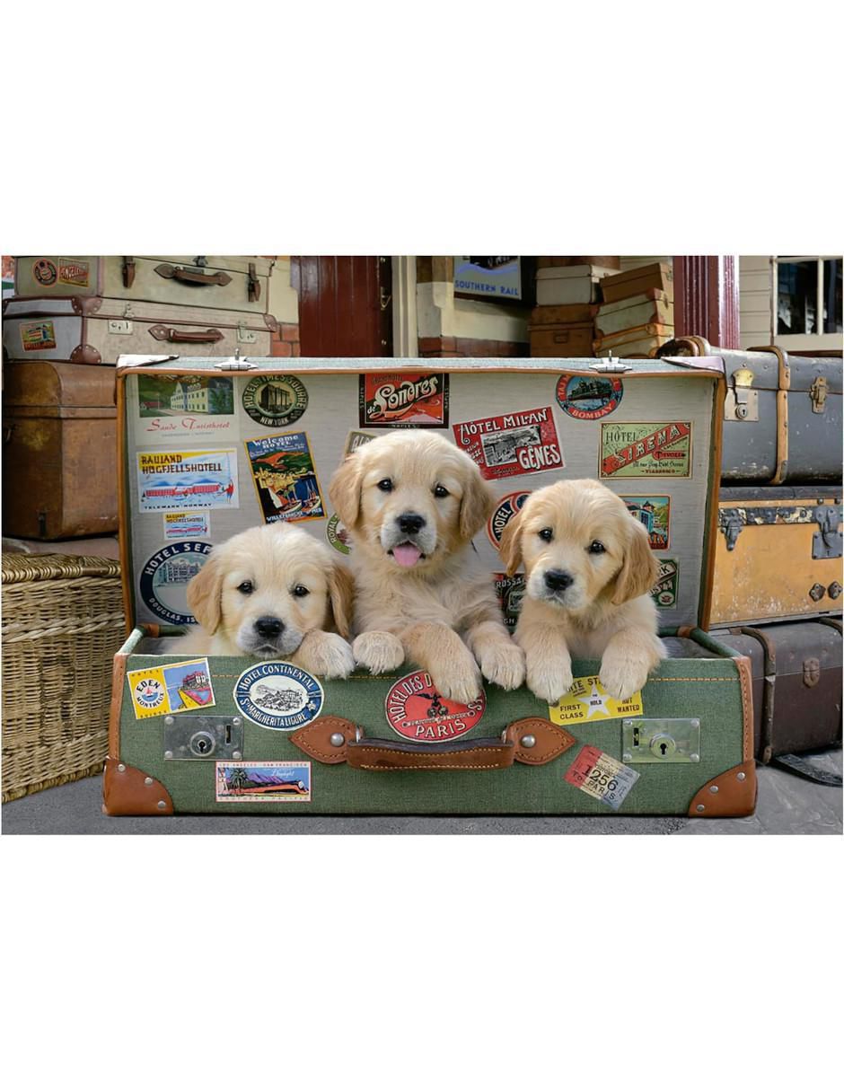 Rompecabezas Perritos viajeros 500 piezas 2