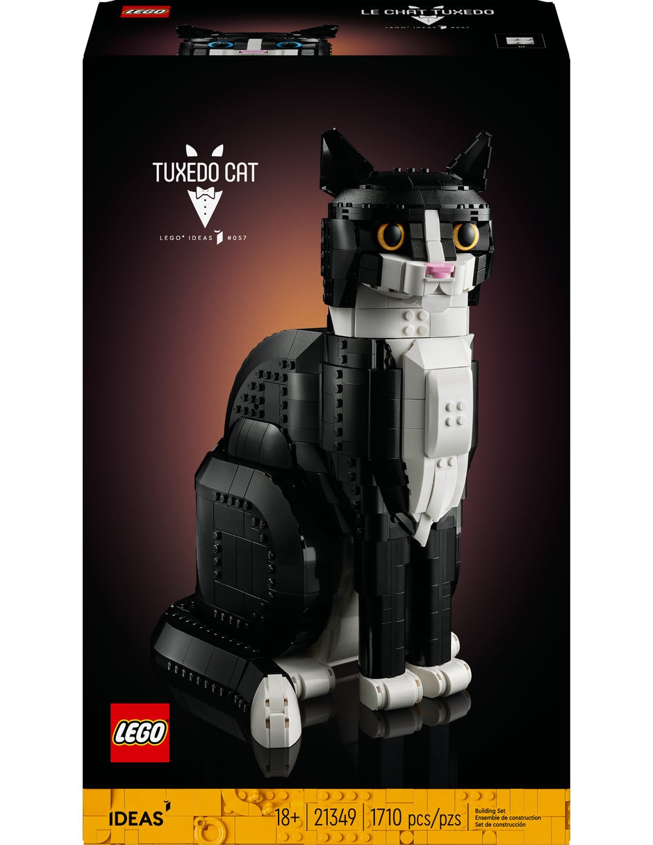 Gato bicolor 21349 2