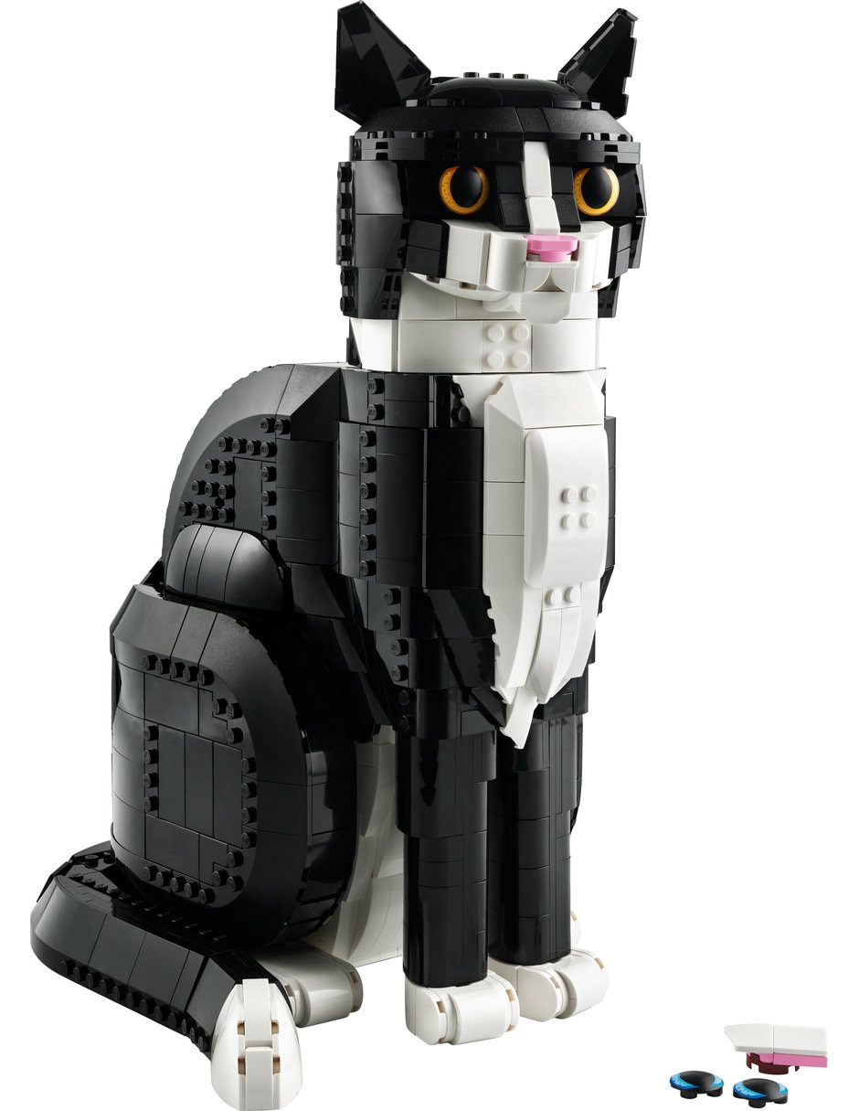 Gato bicolor 21349 3