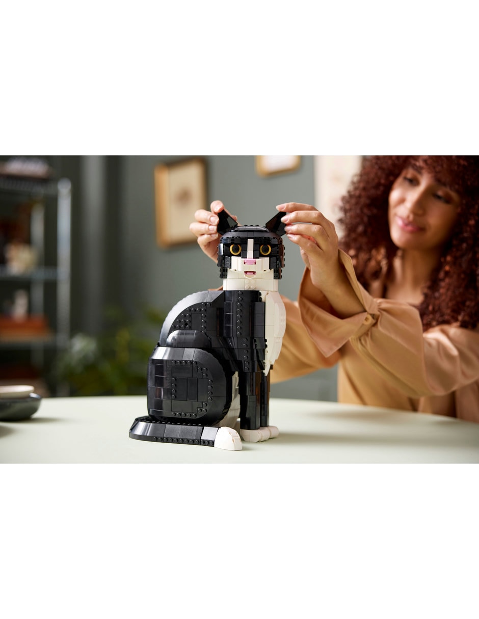 Gato bicolor 21349 5