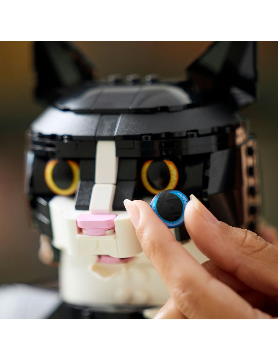 Gato bicolor 21349 6