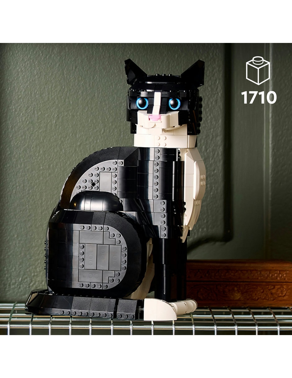 Gato bicolor 21349 7