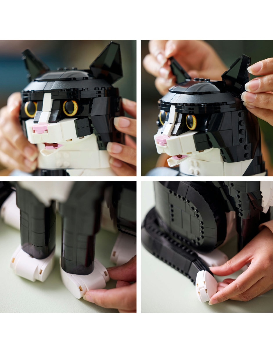 Gato bicolor 21349 9