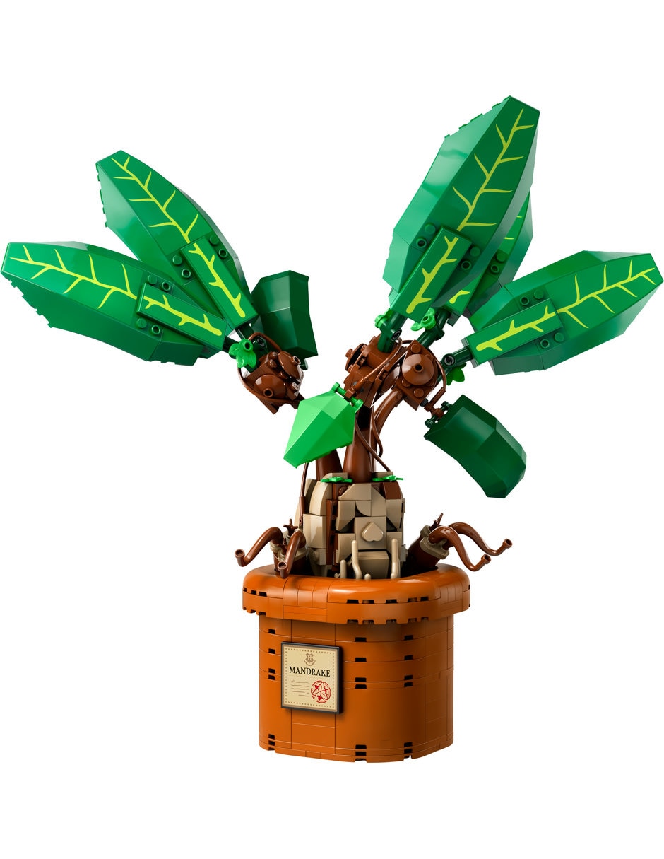 Mandragora 76433 3