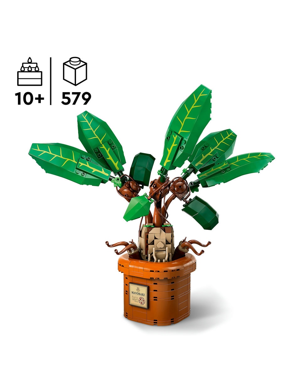 Mandragora 76433 6
