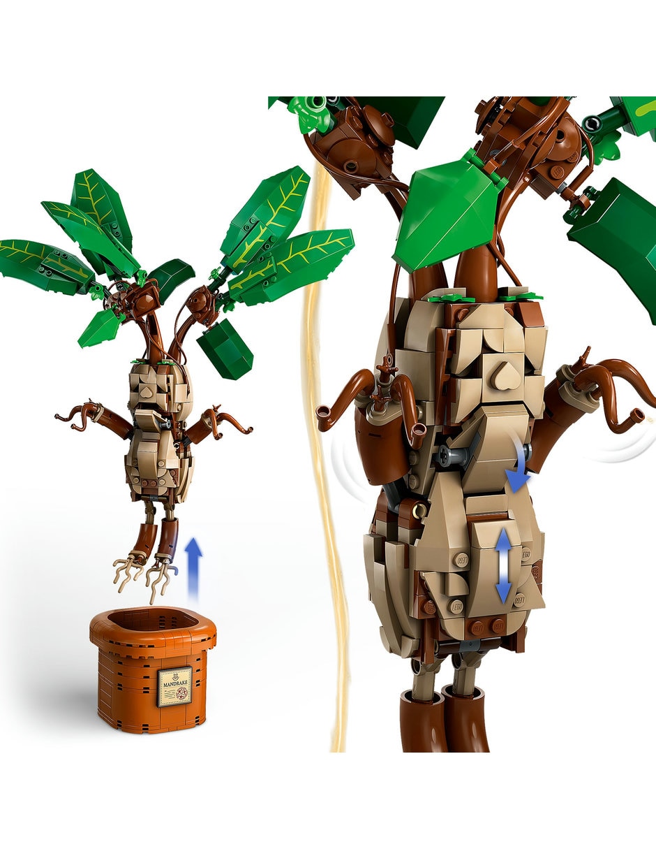 Mandragora 76433 7