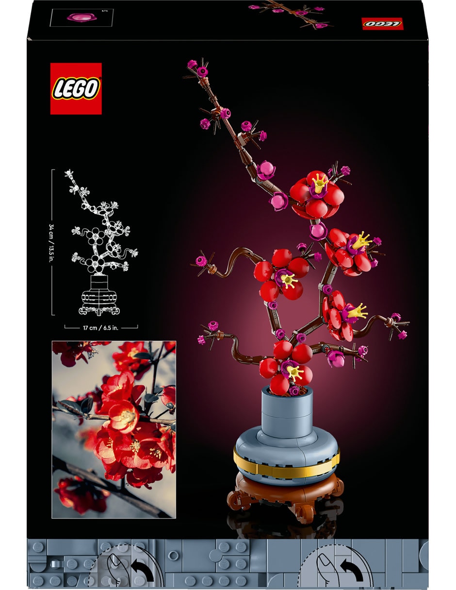 Flor de ciruelo 10369 2025 6