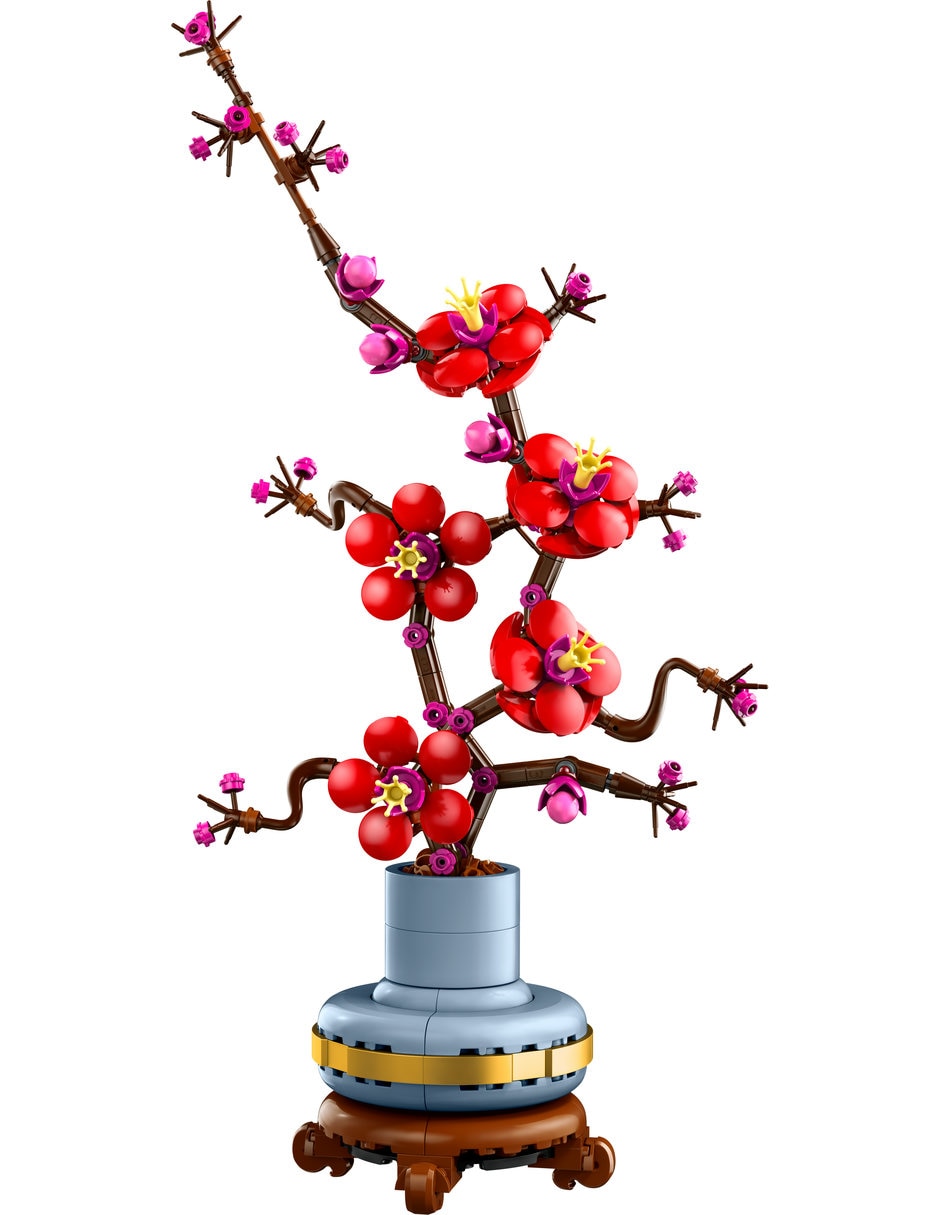 Flor de ciruelo 10369 2025 8