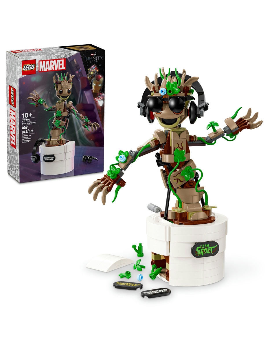 Groot Bailarin 76297