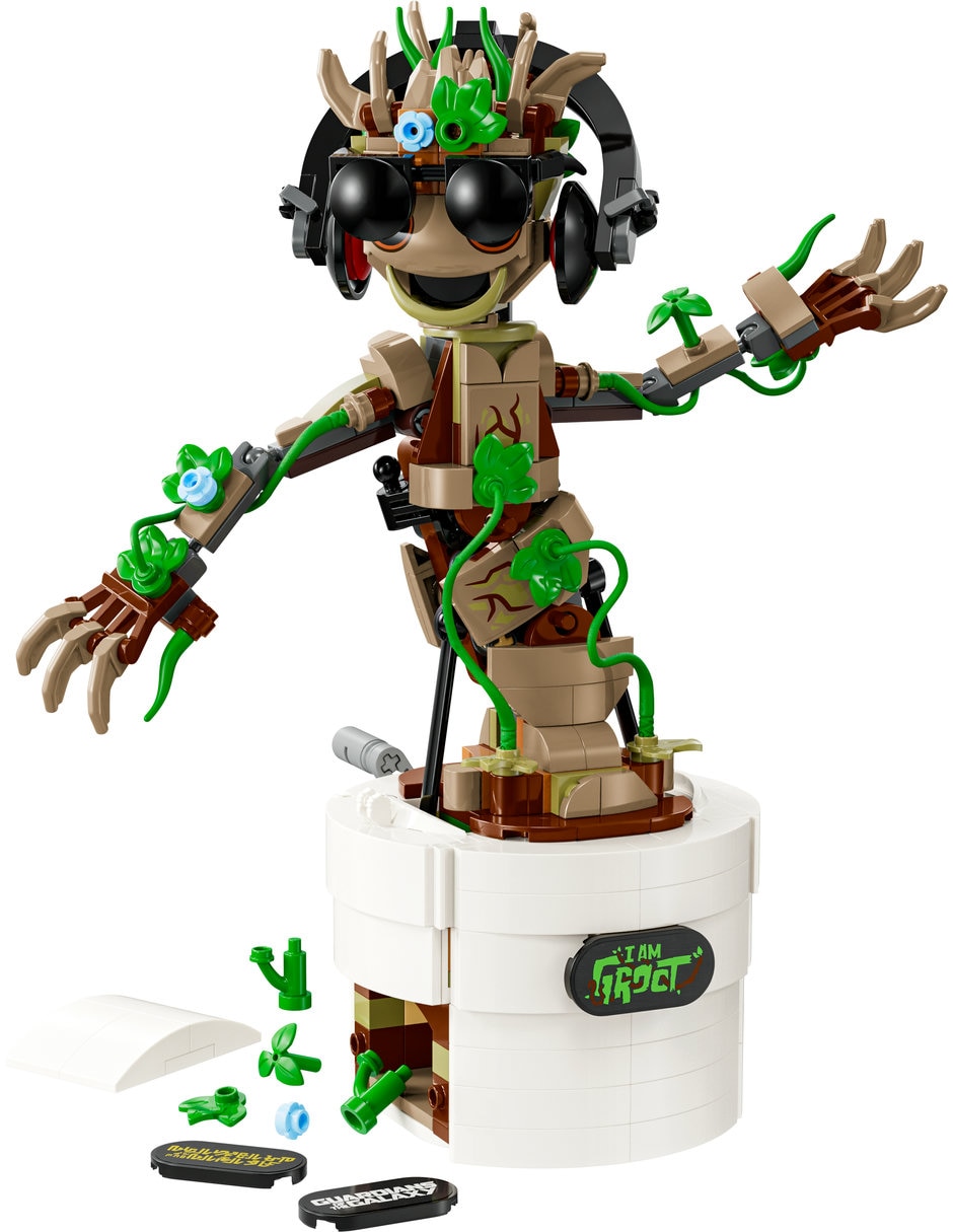 Groot Bailarin 76297 3