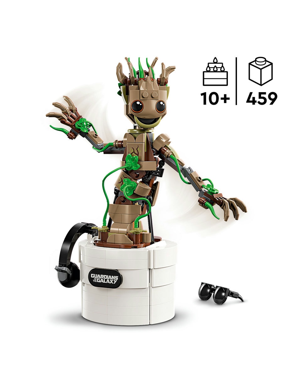 Groot Bailarin 76297 7