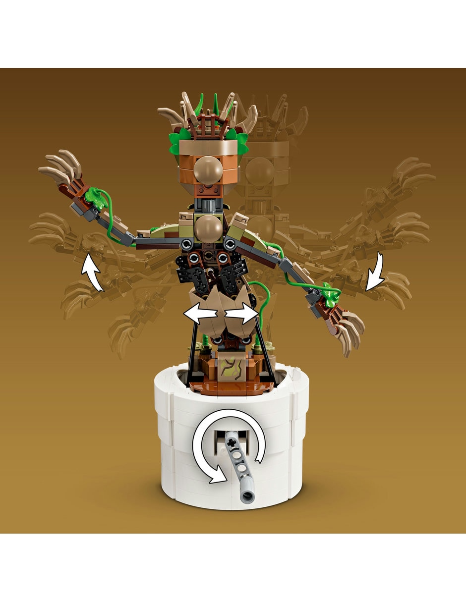 Groot Bailarin 76297 8