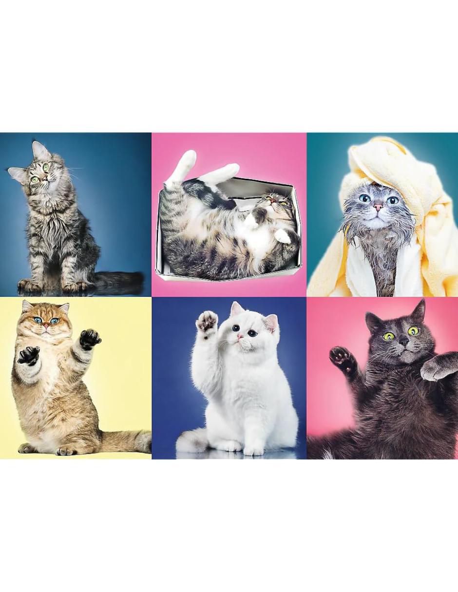 Rompecabezas Gatos y más gatos 500 piezas 2