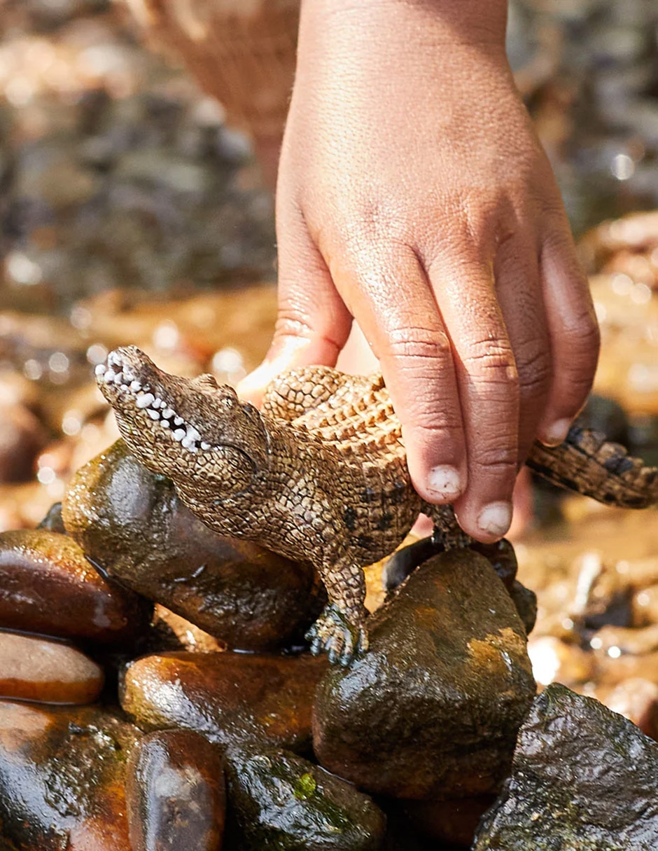 Figura de cocodrilo 4