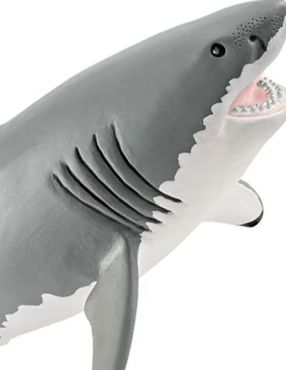 Figura de tiburón blanco 2