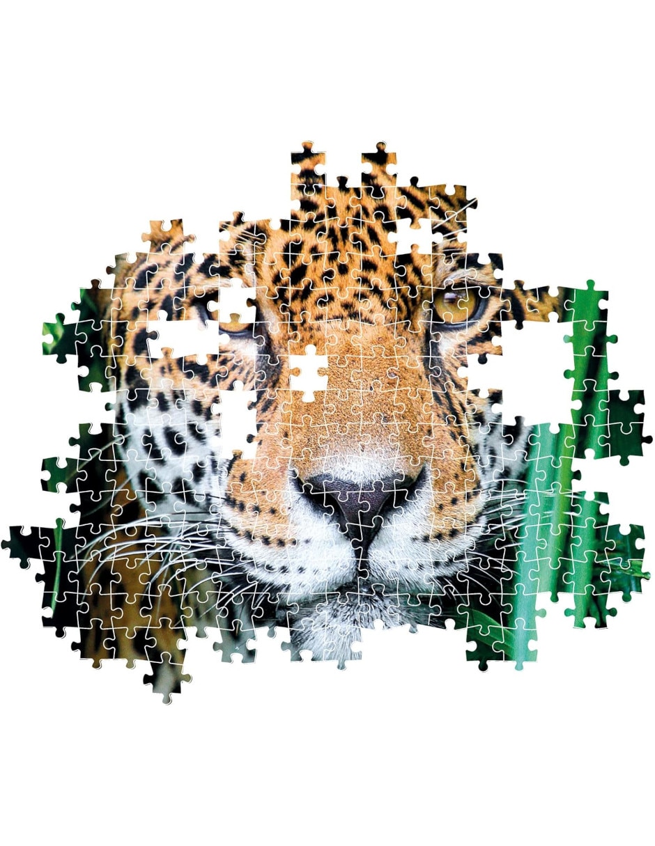 Rompecabezas Jaguar 500 piezas 3