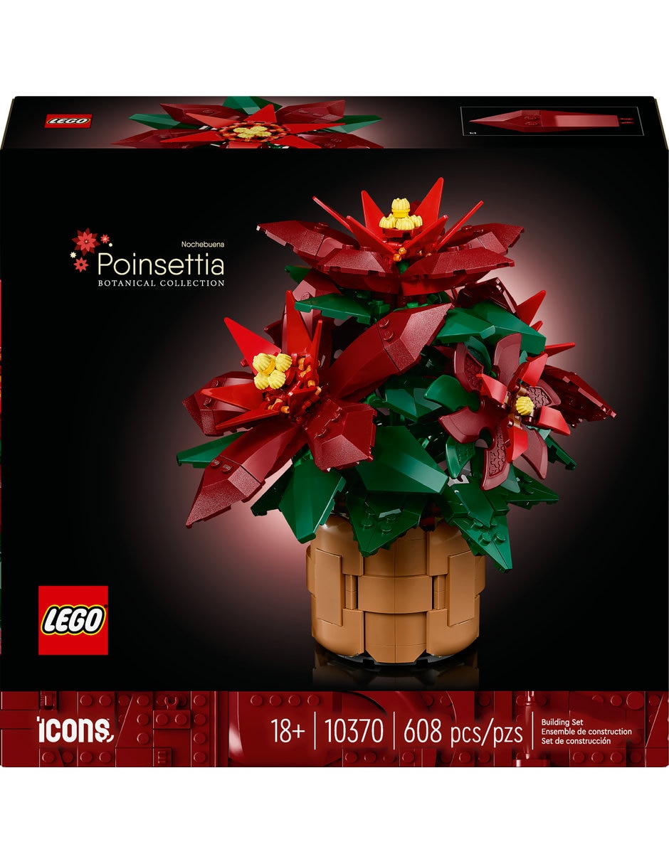 Nochebuena 10370 Botanicals 2