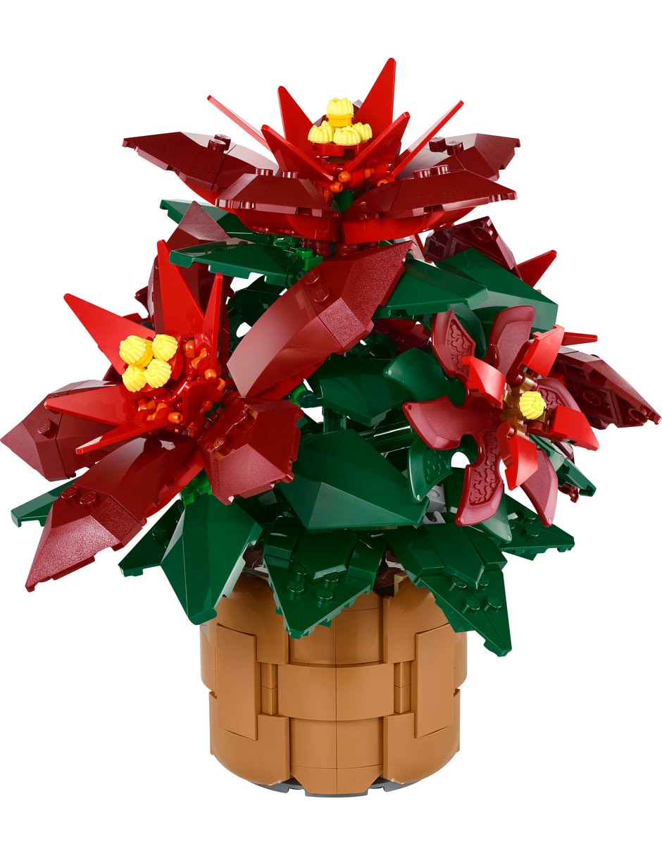 Nochebuena 10370 Botanicals 3